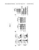 USE OF SIRT7 AS NOVEL CANCER THERAPY TARGET AND METHOD FOR TREATING CANCER     USING THE SAME diagram and image