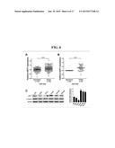USE OF SIRT7 AS NOVEL CANCER THERAPY TARGET AND METHOD FOR TREATING CANCER     USING THE SAME diagram and image
