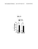 USE OF SIRT7 AS NOVEL CANCER THERAPY TARGET AND METHOD FOR TREATING CANCER     USING THE SAME diagram and image