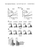 USE OF SIRT7 AS NOVEL CANCER THERAPY TARGET AND METHOD FOR TREATING CANCER     USING THE SAME diagram and image