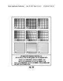 MAGNETIC RESONANCE IMAGING SYSTEMS FOR INTEGRATED PARALLEL RECEPTION,     EXCITATION AND SHIMMING AND RELATED METHODS AND DEVICES diagram and image