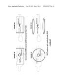 NON-INVASIVE PROSTATE COIL FOR MR SYSTEMS WITH VERTICAL MAIN FIELD diagram and image