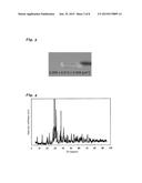 Fluorophore, Method for Producing Same, Light-Emitting Device Using     Fluorophore, Image Display Device, Pigment, and Ultraviolet Absorbent diagram and image