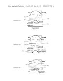 NOVEL SUBSTRATE AND PROCESS FOR HIGH EFFICIENCY OLED DEVICES diagram and image