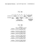 INTRA PREDICTION MODE DETERMINATION APPARATUS, INTRA PREDICTION MODE     DETERMINATION METHOD, AND RECORDING MEDIUM diagram and image