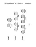 Cell Timing in a Wireless Device and Base Station diagram and image