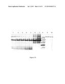 DENATURED LACTOGLOBULIN AND POLYPHENOL COASSEMBLIES diagram and image