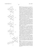 INHIBITORS OF HEPATITIS C VIRUS POLYMERASE diagram and image