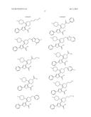 INHIBITORS OF HEPATITIS C VIRUS POLYMERASE diagram and image