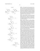 INHIBITORS OF HEPATITIS C VIRUS POLYMERASE diagram and image