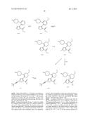 INHIBITORS OF HEPATITIS C VIRUS POLYMERASE diagram and image