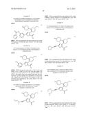 INHIBITORS OF HEPATITIS C VIRUS POLYMERASE diagram and image