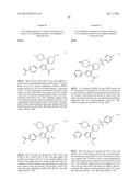 INHIBITORS OF HEPATITIS C VIRUS POLYMERASE diagram and image