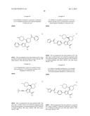 INHIBITORS OF HEPATITIS C VIRUS POLYMERASE diagram and image