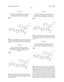 INHIBITORS OF HEPATITIS C VIRUS POLYMERASE diagram and image