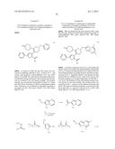 INHIBITORS OF HEPATITIS C VIRUS POLYMERASE diagram and image