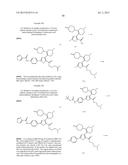 INHIBITORS OF HEPATITIS C VIRUS POLYMERASE diagram and image