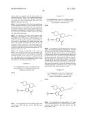 INHIBITORS OF HEPATITIS C VIRUS POLYMERASE diagram and image