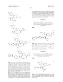 INHIBITORS OF HEPATITIS C VIRUS POLYMERASE diagram and image