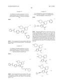 INHIBITORS OF HEPATITIS C VIRUS POLYMERASE diagram and image