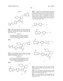 INHIBITORS OF HEPATITIS C VIRUS POLYMERASE diagram and image