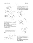 INHIBITORS OF HEPATITIS C VIRUS POLYMERASE diagram and image