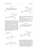 INHIBITORS OF HEPATITIS C VIRUS POLYMERASE diagram and image