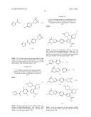 INHIBITORS OF HEPATITIS C VIRUS POLYMERASE diagram and image