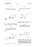 INHIBITORS OF HEPATITIS C VIRUS POLYMERASE diagram and image