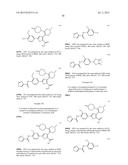 INHIBITORS OF HEPATITIS C VIRUS POLYMERASE diagram and image