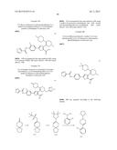 INHIBITORS OF HEPATITIS C VIRUS POLYMERASE diagram and image