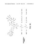 Modified Saponins for the Treatment of Fungal Infections diagram and image