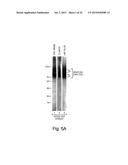 TREATMENT OF MUSCULAR DYSTROPHIES AND RELATED DISORDERS diagram and image