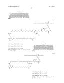 NOVEL GLUCAGON ANALOGUES diagram and image