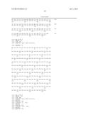 CIRCOVIRUS SEQUENCES ASSOCIATED WITH PIGLET WEIGHT LOSS DISEASE (PWD) diagram and image