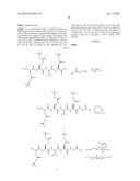 Novel Substrate Based PET Imaging Agents diagram and image