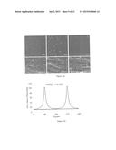 DENSE HYDROGELS diagram and image