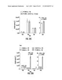 COMPOSITIONS AND METHODS FOR SUBSTRATE-SELECTIVE INHIBITION OF     ENDOCANNABINOID OXYGENATION diagram and image