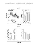 COMPOSITIONS AND METHODS FOR SUBSTRATE-SELECTIVE INHIBITION OF     ENDOCANNABINOID OXYGENATION diagram and image