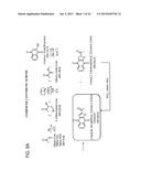 NOVEL COMPOUNDS AND COMPOSITIONS FOR TARGETING CANCER STEM CELLS diagram and image