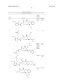 MACROCYCLIC PICOLINAMIDE COMPOUNDS WITH FUNGICIDAL ACTIVITY diagram and image