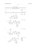 MACROCYCLIC PICOLINAMIDE COMPOUNDS WITH FUNGICIDAL ACTIVITY diagram and image