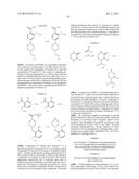 APOPTOSIS-INDUCING AGENTS FOR THE TREATMENT OF CANCER AND IMMUNE AND     AUTOIMMUNE DISEASES diagram and image