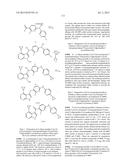 COMPOUNDS AND METHODS FOR KINASE MODULATION, AND INDICATIONS THEREFOR diagram and image