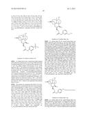 MONOMERIC TRIOXANE AMIDE SULFUR COMPOUNDS diagram and image