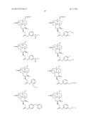 MONOMERIC TRIOXANE AMIDE SULFUR COMPOUNDS diagram and image