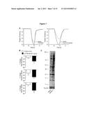 RFAMIDE-RELATED PEPTIDES AND METHODS THEREOF diagram and image