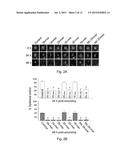 USE OF PEDF-DERIVED POLYPEPTIDES FOR PROMOTING STEM CELLS PROLIFERATION     AND WOUND HEALING diagram and image