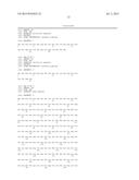 USE OF PEDF-DERIVED POLYPEPTIDES FOR PROMOTING STEM CELLS PROLIFERATION     AND WOUND HEALING diagram and image