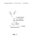 TREATMENT OF lge-MEDIATED DISEASE diagram and image